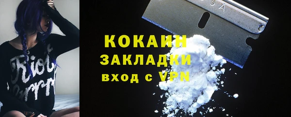 дмт Ельня