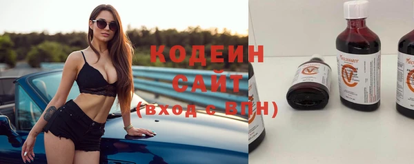 дмт Ельня