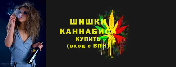 дмт Ельня