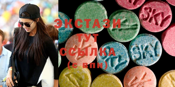 дмт Ельня