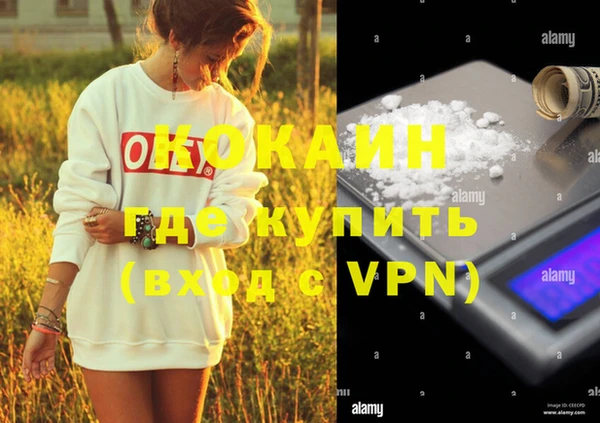 дмт Ельня