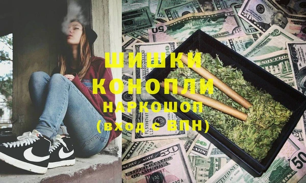 дмт Ельня