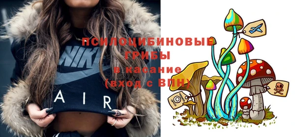 дмт Ельня