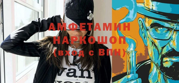 дмт Ельня
