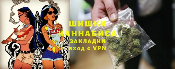 дмт Ельня