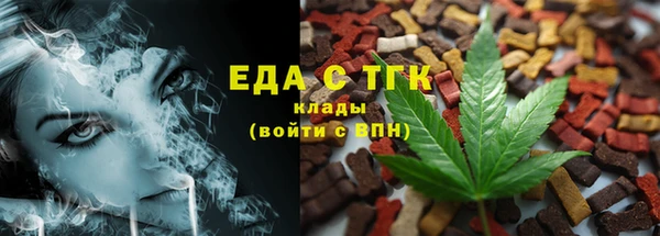 дмт Ельня