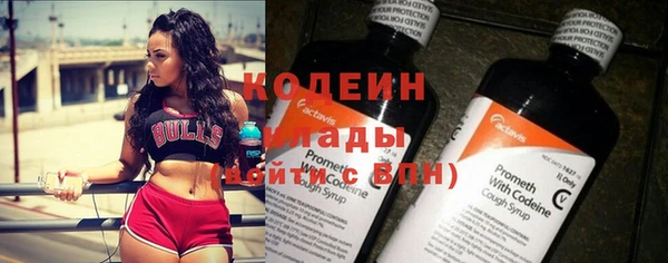 дмт Ельня