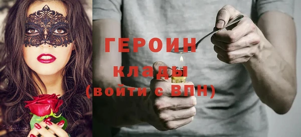 дмт Ельня