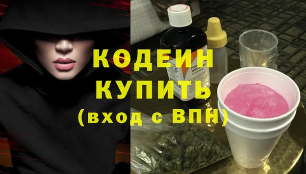 дмт Ельня