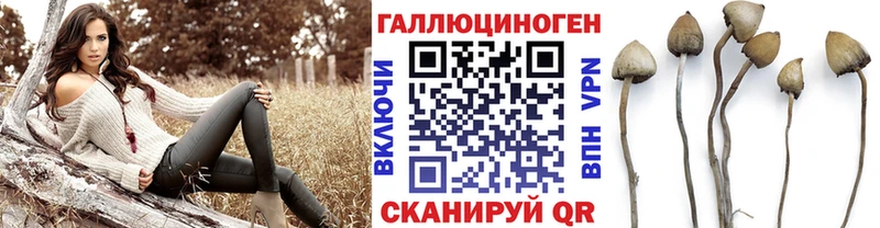 Галлюциногенные грибы Magic Shrooms  Зубцов 