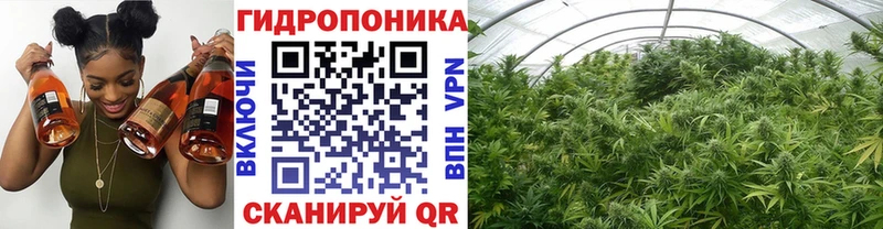 Марихуана OG Kush  мега ссылки  Зубцов 